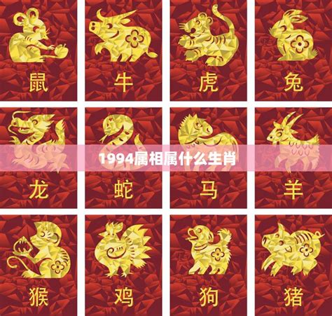 1994年生肖|1994年1月出生属什么生肖 属狗还是属鸡